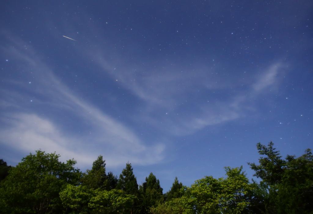 Chokai Sarukuraonsen Hotel Foresta Chokai 유리혼조 외부 사진